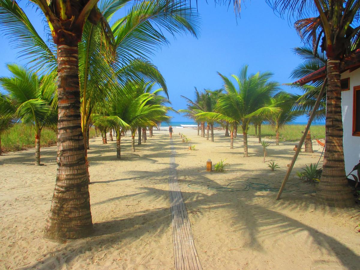Beach Front Bungalows At The Coconut Canoa Ngoại thất bức ảnh